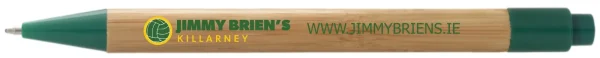 Borneo bamboo ballpoint pen (black ink) - Natural / Green